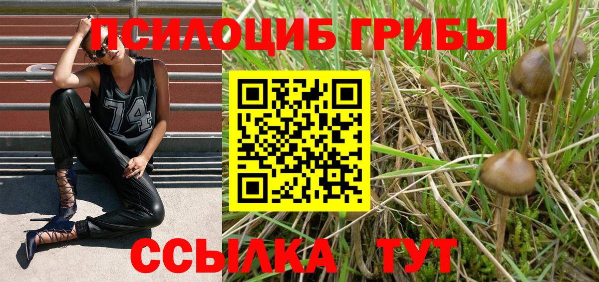 Видное  Галлюциногенные грибы прущие грибы  Вход с VPN 