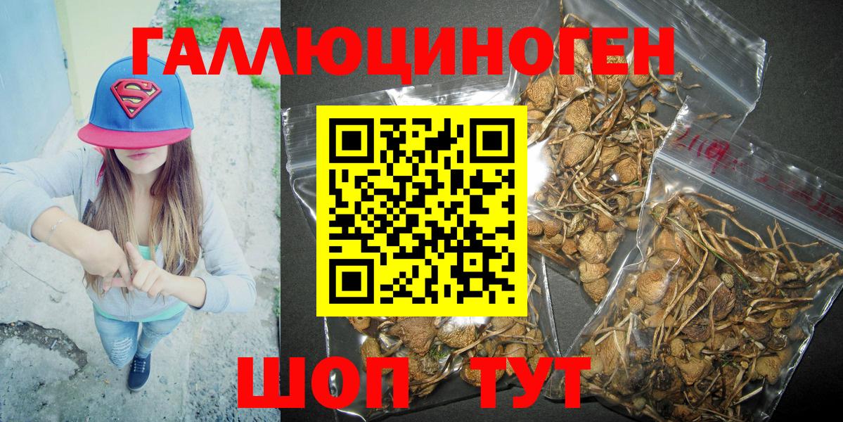 Галлюциногенные грибы Psilocybine cubensis Видное